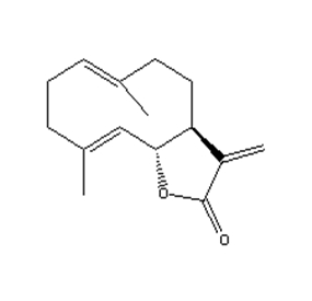 木香烯内酯